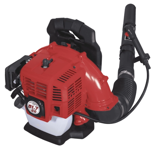 Souffleur à Dos Thermique LB5200BP SCHEPPACH - 1.9CV 295 Km/h - 5911103903 5 Souffleur à Dos Thermique LB5200BP SCHEPPACH - 1.9CV 295 Km/h - 5911103903 - Image 3