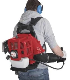 SCHEPPACH - LB5200BP - Souffleur Thermique Dorsal - 7,9 Kg -Outils Scheppach Souffleur Scheppach LB5200BP support matelasse